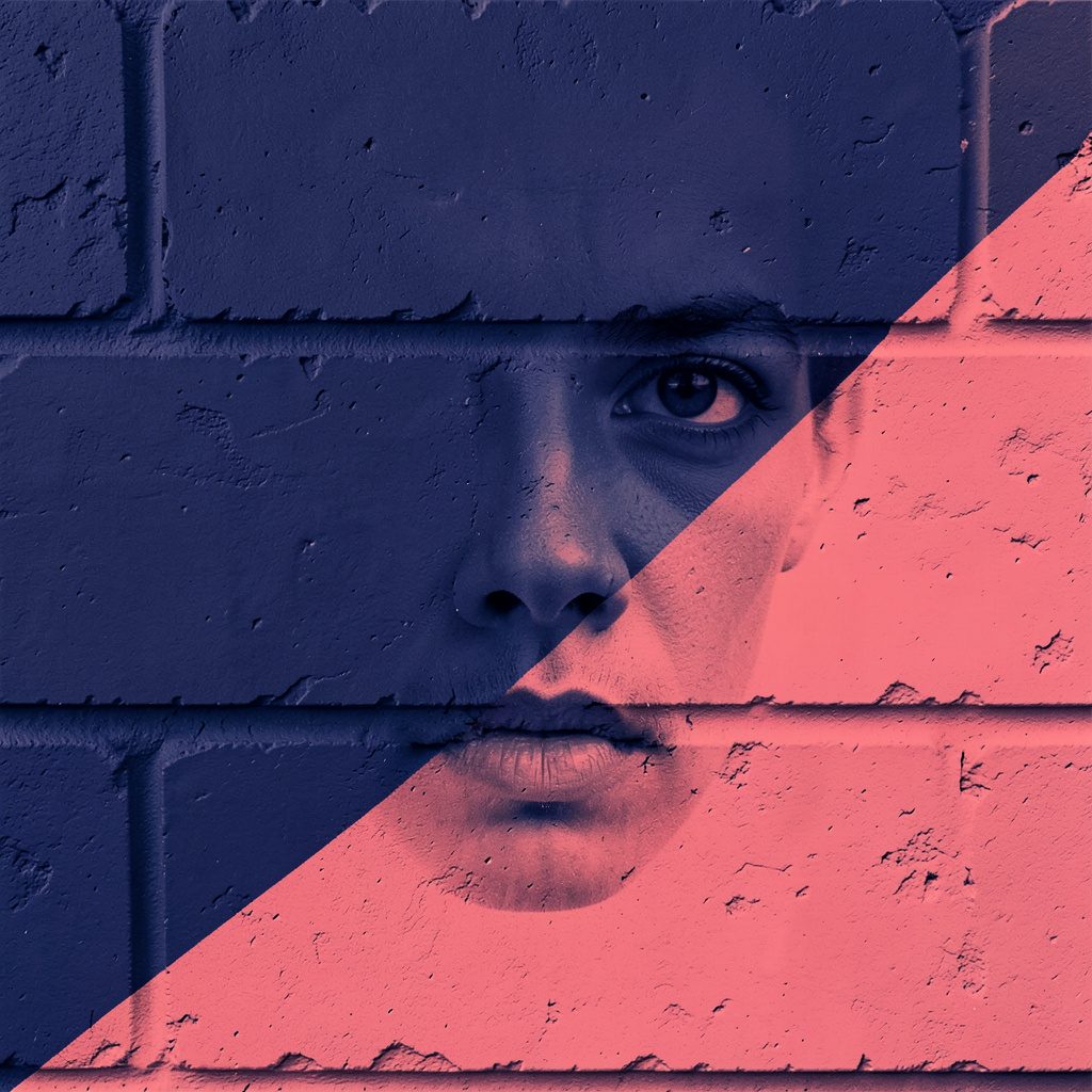 Duotone thumbnail of a clean break across the face of a single brick, two-tone navy and coral